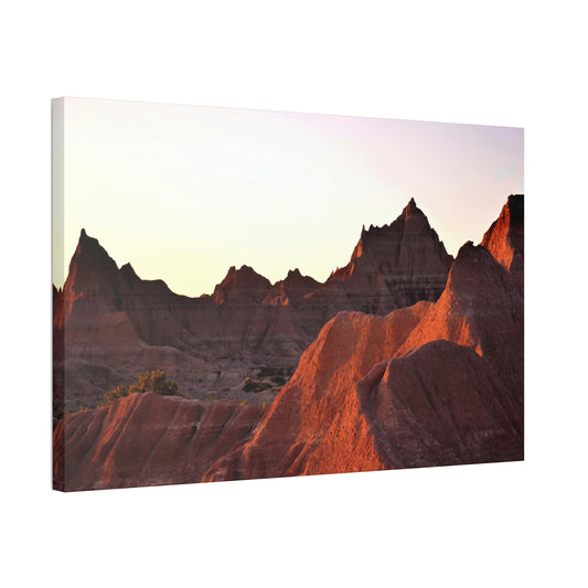 The Red Landscapes Canvas